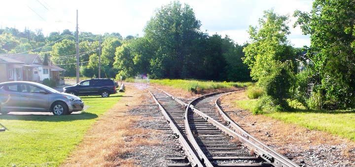 Result of herbicide spraying on the Guelph Junction Railway. There is a swath of brown vegetation on both sides of the tracks